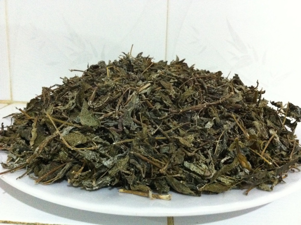 trà dây trị trào ngược dạ dày