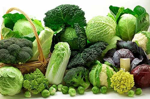các thực phẩm tốt cho bệnh trào ngược dạ dày 8