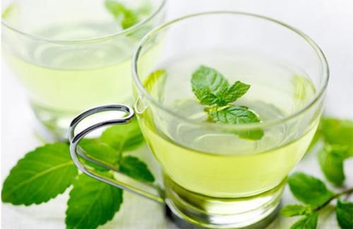 Trà bạc hà chữa đầy bụng khó tiêu hiệu quả